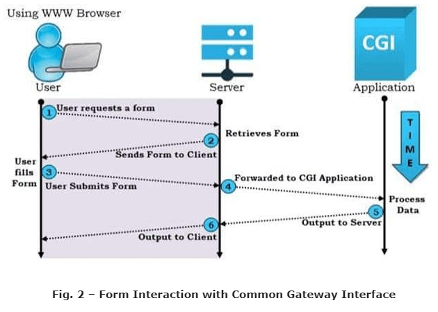 interaction with common gateway interface
