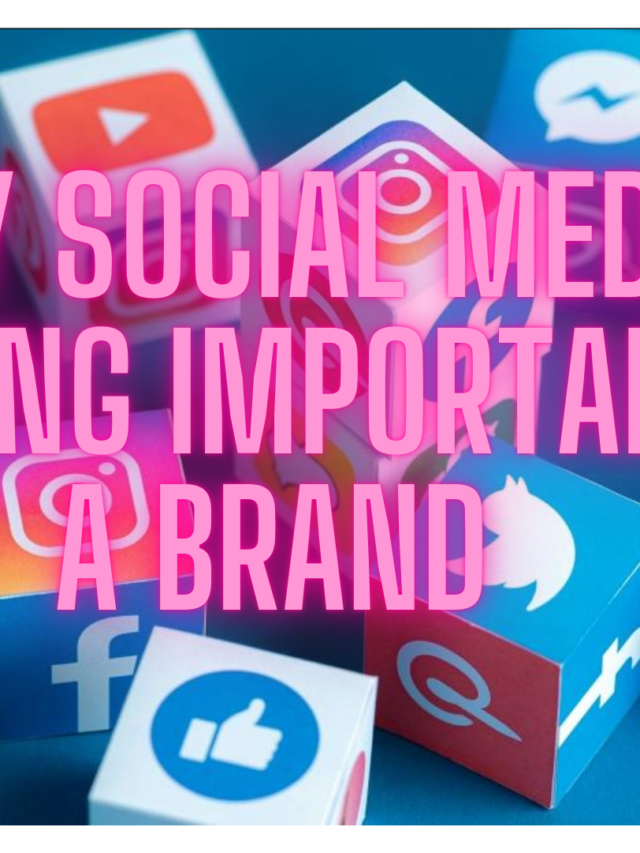 Why social media branding is important to a brand?